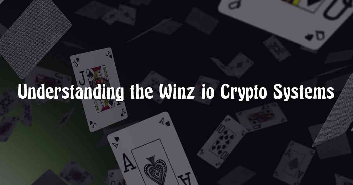 Understanding the Winz io Crypto Systems